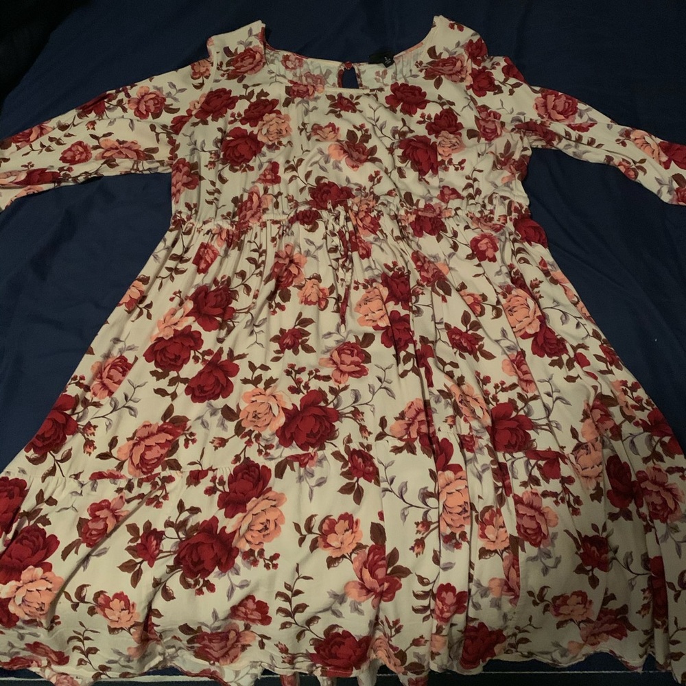 Stunning Long Sleeve Rose Dress